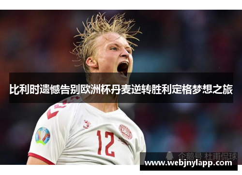比利时遗憾告别欧洲杯丹麦逆转胜利定格梦想之旅