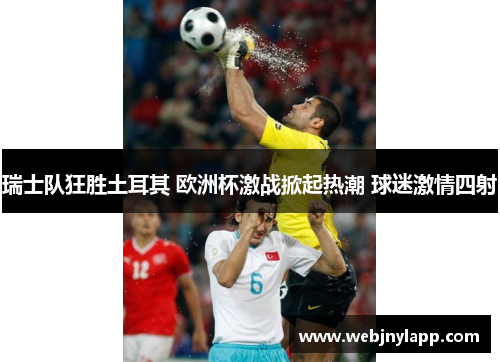 瑞士队狂胜土耳其 欧洲杯激战掀起热潮 球迷激情四射