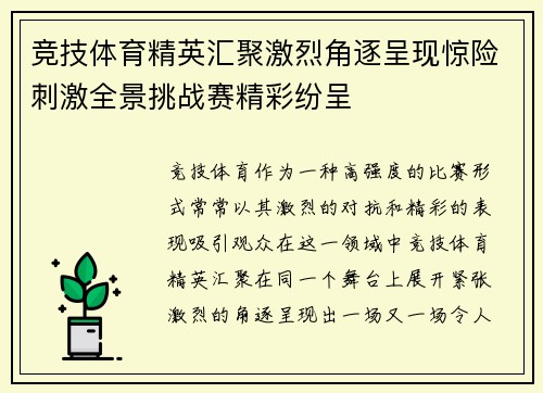 竞技体育精英汇聚激烈角逐呈现惊险刺激全景挑战赛精彩纷呈